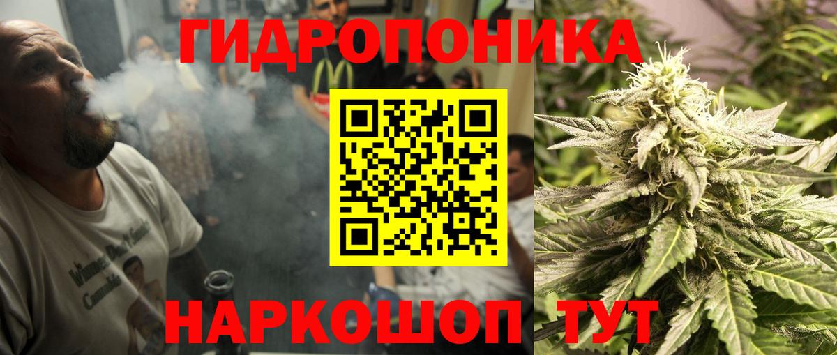 Каннабис тримм  Бошки марихуана марихуана  Канабис семена  Марихуана конопля  Вход с VPN  Астрахань 
